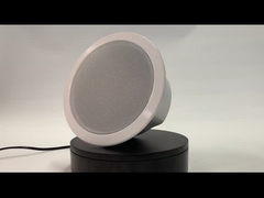 ORADOR DO TETO DO PONTO DE ENTRADA DO IP FIP-906