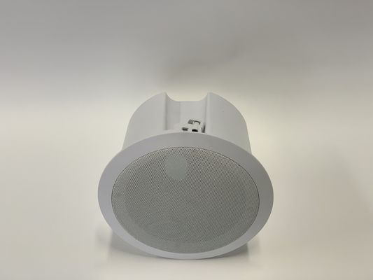 O ponto de entrada do IP pôs o volume ajustável 200×100mm do orador 10W do teto